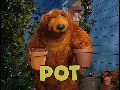 A friendly bear character holding two flower pots, with the word 'POT' displayed prominently in front.
